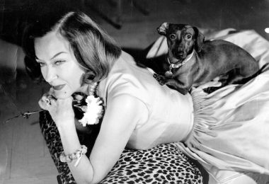 dachshund,Gloria Swanson,Joe Kennedy,Cecil B. DeMille,Rudolph Valentino