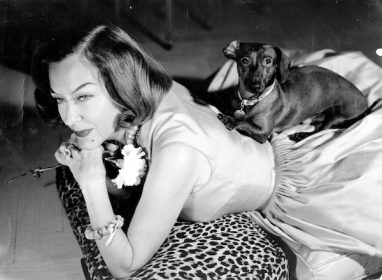 dachshund,Gloria Swanson,Joe Kennedy,Cecil B. DeMille,Rudolph Valentino