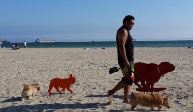 public art,Rosie's Dog Beach,Karena Massengill