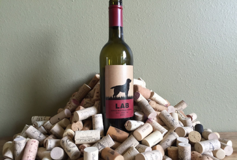 wine,Labrador Retriever