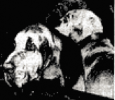 Bloodhound,Jame Earl Ray, Martin Luther King, "Sandy,""Little Red"