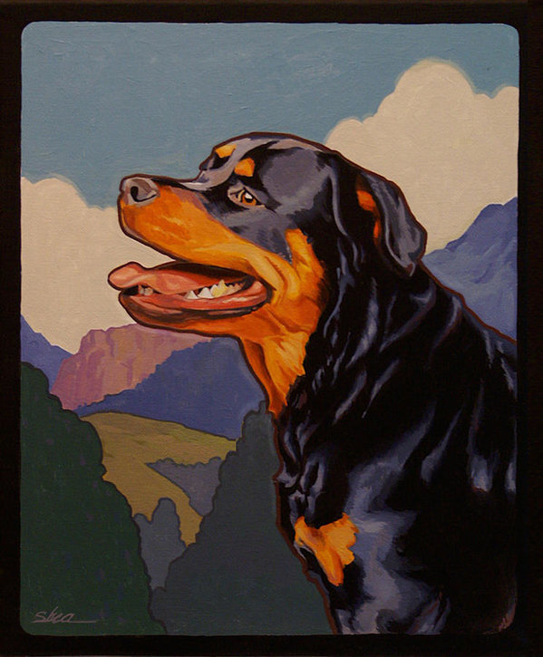  Rottweiler, herding dog,herding title,Roman Cattle Droving Dog,Greater Swiss Mountain Dog,Metzgerhund