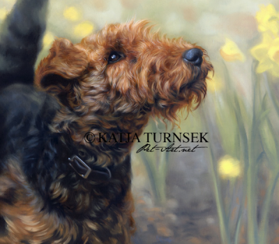 Welsh Terrier,Old English Wire- haired Black and Tan Terrier