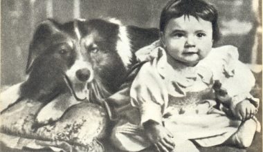 Rin Tin Tin,Lassie,Blair,Rescued by Rover, Movies,film,Blair,Cecil Hepworth