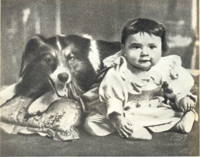 Rin Tin Tin,Lassie,Blair,Rescued by Rover, Movies,film,Blair,Cecil Hepworth