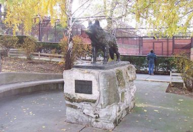 German Shepherd Dog,Gabi,Vuk Bojović,Belgrade Zoo,