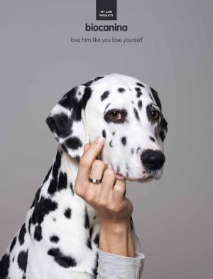 Biocanina Pet Care,Ad,commercial,dalmatian,Weimaraner,