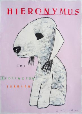 Bedlington Terrier,grooming