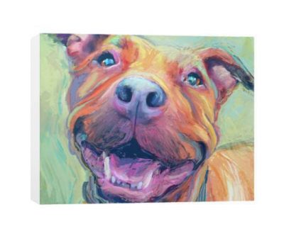 American Staffordshire Terrier,Bully, AmStaff,Grin,smile,