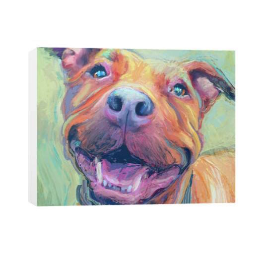 American Staffordshire Terrier,Bully, AmStaff,Grin,smile,