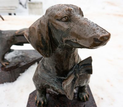 Dachshund,bench
