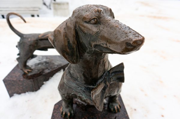 Dachshund,bench