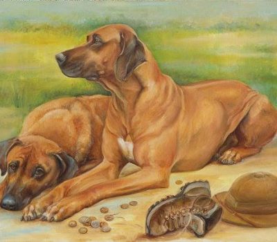 Rhodesian Ridgeback,lion dog,Phu Quoc,ridge,ridgeback,Hottentot