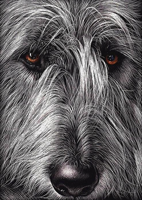 Irish Wolfhound,names,National Purebred Dog Day