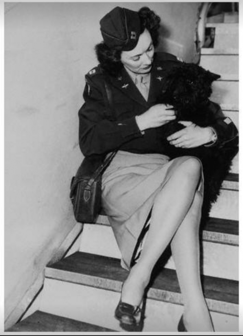 Scottish Terrier,Dwight Eisenhower,Kay Summersby