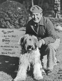 Old English Sheepdog,Believe It or Not,Robert Ripley,