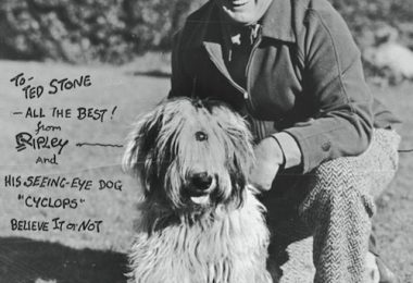 Old English Sheepdog,Believe It or Not,Robert Ripley,