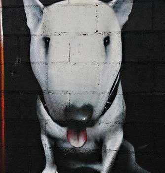 grafitti,Bull Terrier