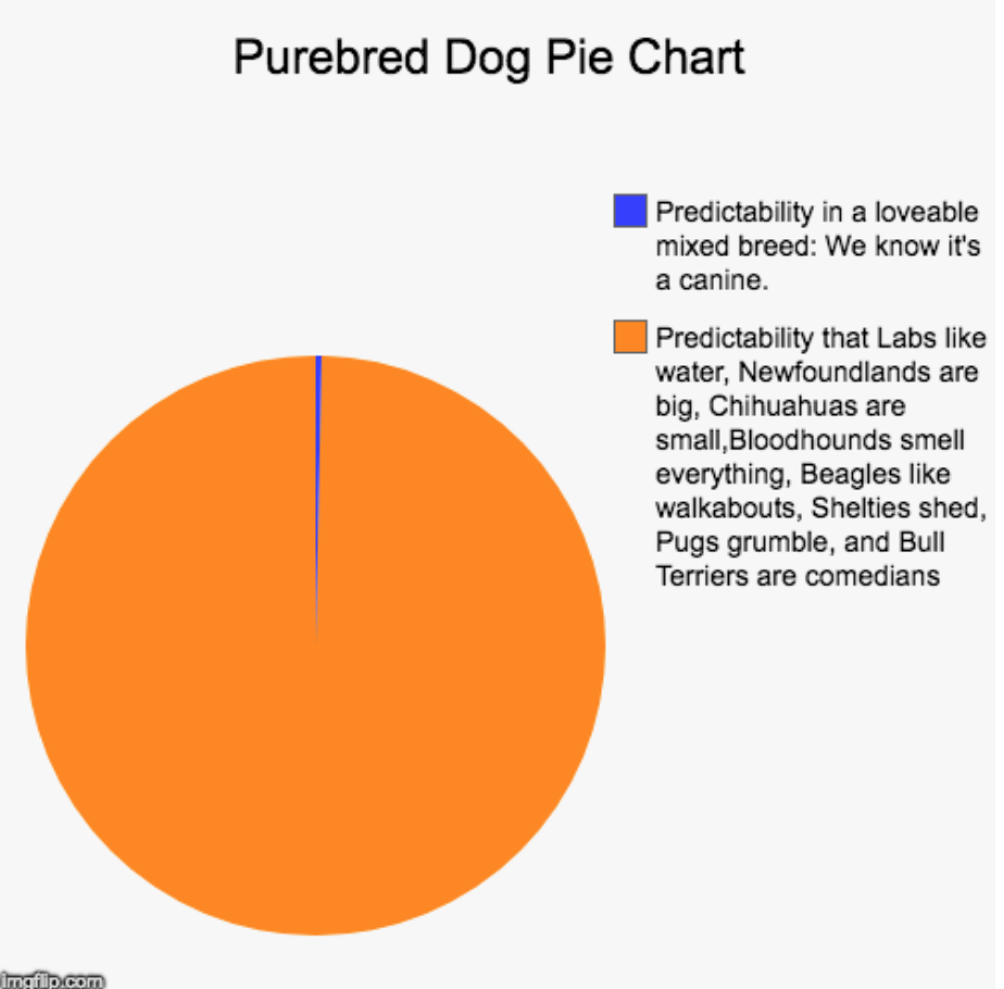Purebred Dog Chart