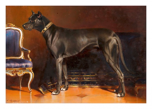 Dane,breeders, Siberian,Ulm Dog,Ulmer Mastiff