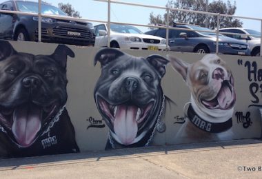 American Stafforshire Terrier,Staffordshire Bull Terrier, Graham Hoete, Mr G, Happy Staffys, bully breed, graffiti, mural,art,