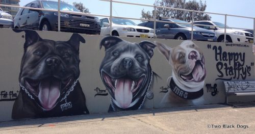 American Stafforshire Terrier,Staffordshire Bull Terrier, Graham Hoete, Mr G, Happy Staffys, bully breed, graffiti, mural,art,
