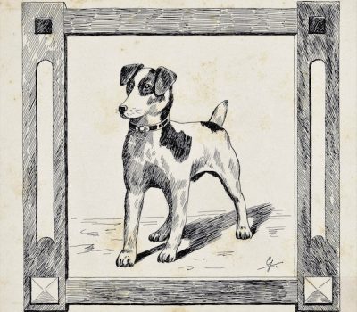 Jack Russell Terrier,Parson Russell Terrier,R.A.T.S.,Feist, Patterdale Terrier, Jagdterrier, Bedlington Terrier, Border Terrier, NorfolkTerrier, Dachshund, Cairn Terrier,Manchester Terrier, Westie, Smooth Fox Terrier,ratting