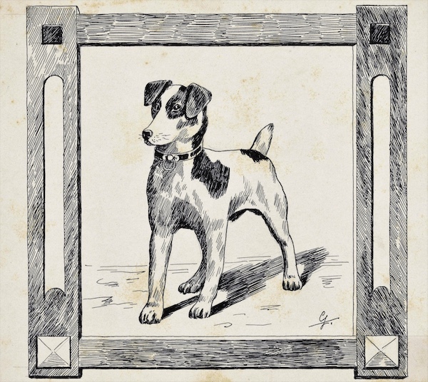 Jack Russell Terrier,Parson Russell Terrier,R.A.T.S.,Feist, Patterdale Terrier, Jagdterrier, Bedlington Terrier, Border Terrier, NorfolkTerrier, Dachshund, Cairn Terrier,Manchester Terrier, Westie, Smooth Fox Terrier,ratting