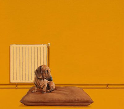 Dachshund,Beagle Terrier