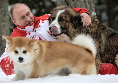 Labrador Retriever,Akita,Vladimir Putin,Gurbanguly Berdymukhammedov,Central Asian Shepherd