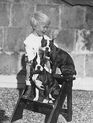 Golden Retriever,Boston Terrier,Gerald Ford,Liberty