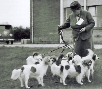 Kooikerhondje, history,Baroness Van Hardenbroek van Ammerstol