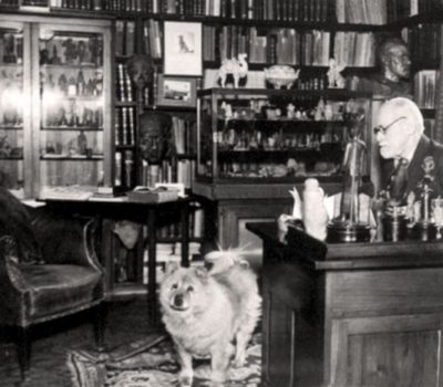 Sigmund Freud,Jofi,Chow Chow,Pet therapy,Boris Levinson,Samuel A. Corson