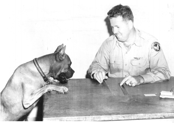 Boxer, Lt. Clarence “Russ” Steber,Berlin Airlift, Air Force General Curtis LeMay, Vittles