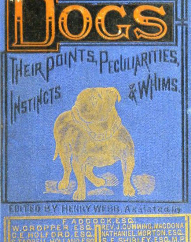 book, dog breeds