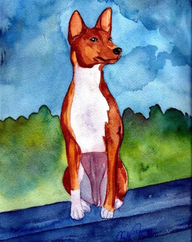 Basenji,Rhodesian Ridgeback, Cirneco dell'Etna, Portuguese Podengo,Podenco Canario, Ibizan Hound, Pharaoh Hound, Peruvian Inca Orchid,Thai Ridgeback