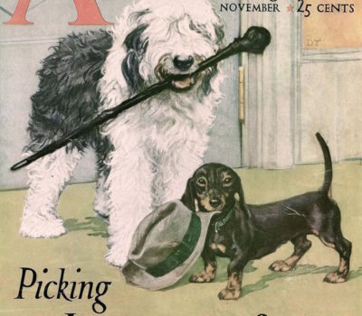 American Magazine,Old English Sheepdog,Dachshund