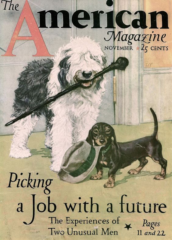 American Magazine,Old English Sheepdog,Dachshund