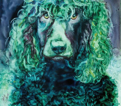 Grainne Ni Mhaille, Gráinne Mhaol, Irish Water Spaniel,history,Grace O’Malley