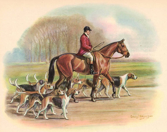 fox hunt,hounds,term,"heading and tailing"