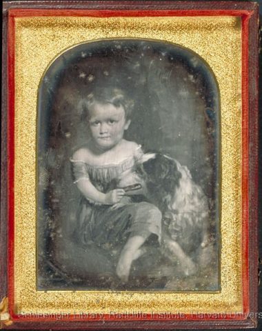 Harriet Beecher Stowe, Uncle Tom's Cabin, Newfoundland, King Charles Spaniel, Mastiff