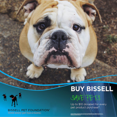 Bissell,commercial,advertising