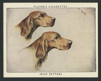 cigarette card,John Player,Allen and Ginter,Arthur Wardle
