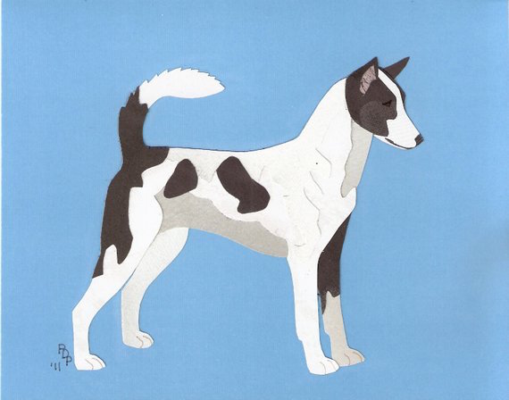 Canaan Dog,Proto-dog