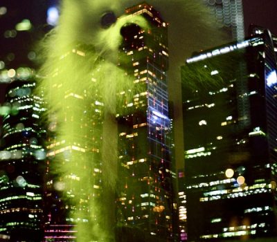 Pomeranian,Spitzdog,Keeshond,Overweight Pomeranian,Zwergspitz,Pomeranian Sheepdog,