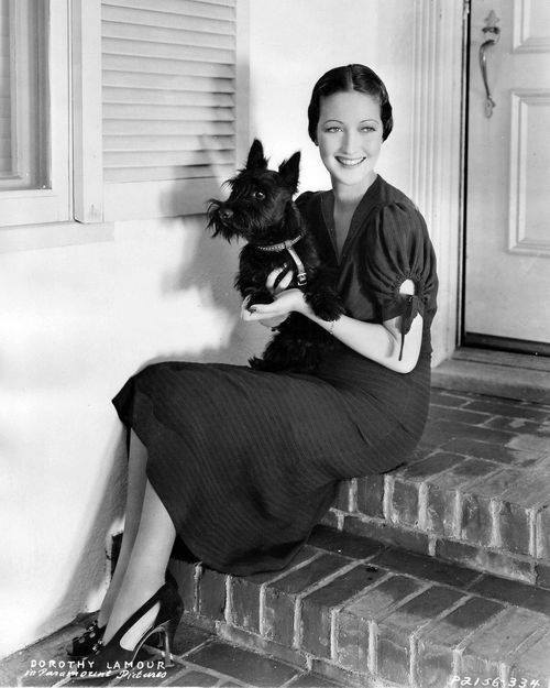 Dorothy Lamour, Scottish Terrier,Dwight D. Eisenhower,