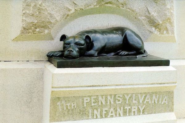 American Staffordshire Terrier, Civil War,Sallie Ann Jarrett,mascot,war dog,