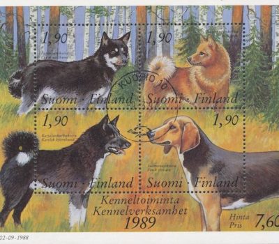 Dog Fancy,Finland, Labrador Retriever, Finnish Lapphund,