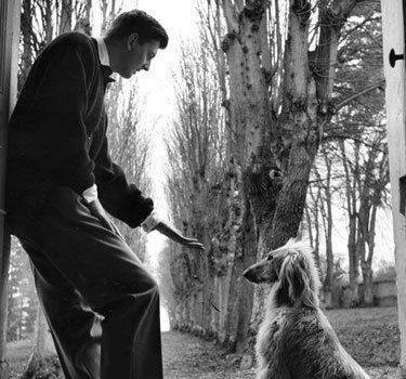 Hubert de Givenchy,Audrey Hepburn,Rottweiler,Labrador Retriever, Afghan Hound,