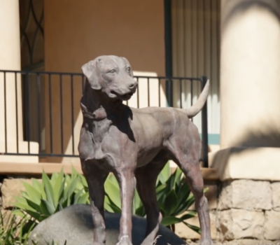 Labrador Retriever,Dog Statue House,statue,Santa Barbara